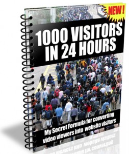 1000 Visitors in 24 Hours