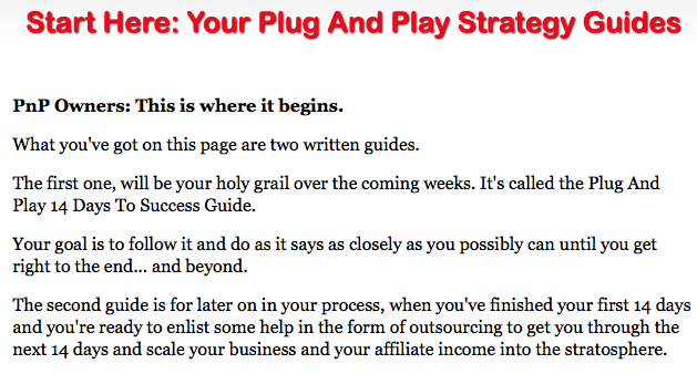 Plug and Play Niche Cash Guides