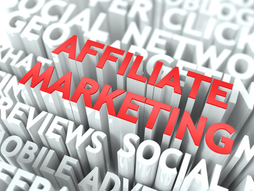 An Excellent Affiliate Marketing Example You Can Follow [LNIM079]