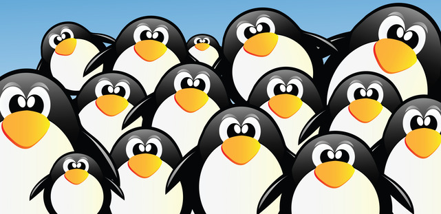 Google Penguin 3.0 Update: What you need to know about Google’s latest algorithm antics