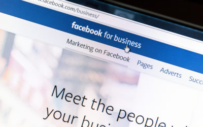Understanding Facebook Ad Manager:  Ad Campaigns [LNIM134]
