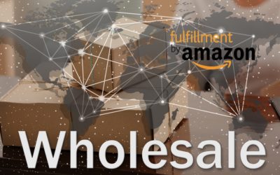Amazon FBA Wholesale Explained [LNIM155]