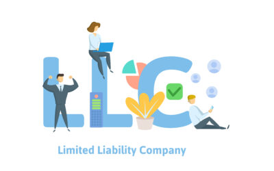 Should You Set Up A Limited Liability Corp (LLC) For Your Online Internet Business [LNIM219]